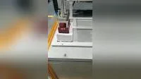 800mm Stroke Ball Screw Linear Guide Rail Module for Plastic Packaging Line